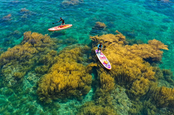 Du khách chèo sup giữa mùa rong mơ ở cù lao Hòn Khô
